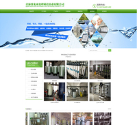 Qinghai Ruilong water treatment technology Industrial Co., LTD